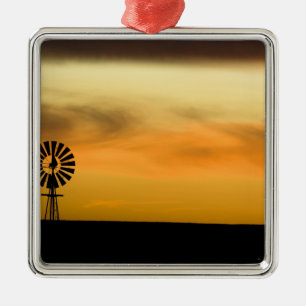 South Dakota, USA. Metal Ornament