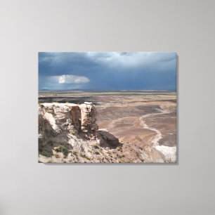 South Desert Canvas Print