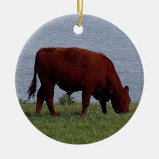 South Devon cow on remote coastline Ceramic Ornament
