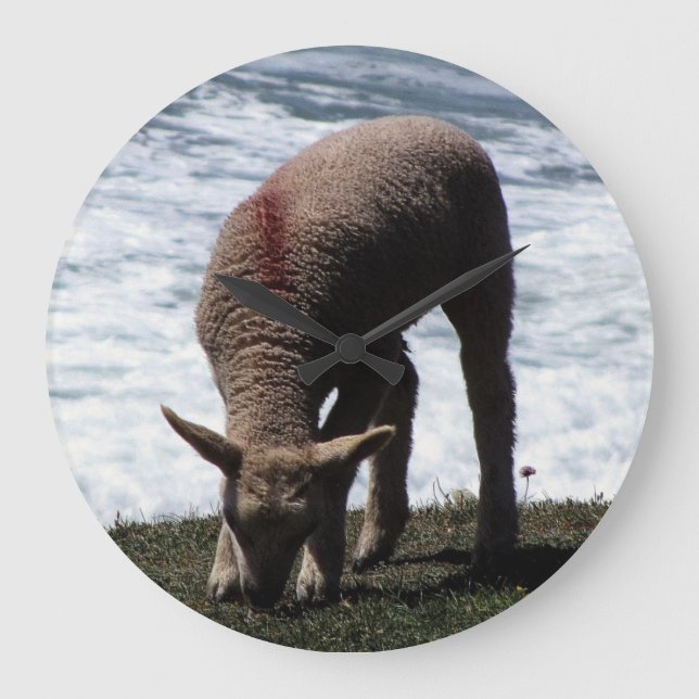 South Devon Lambe Grazing On Wild Coastline Large Clock (Front)
