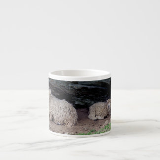 South Devon Long Wool Sheep Family Sheltering Espresso Cup