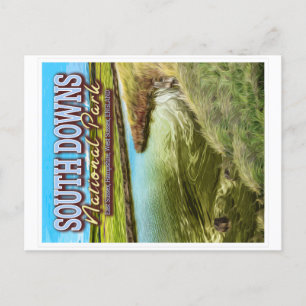 SOUTH DOWNS NATIONAL PARK - EAST SUSSEX ENGLAND POSTCARD