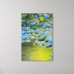 South Fork Wilson River, Oregon Canvas Print