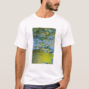 South Fork Wilson River, Oregon T-Shirt