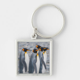South Georgia. King penguins Keychain