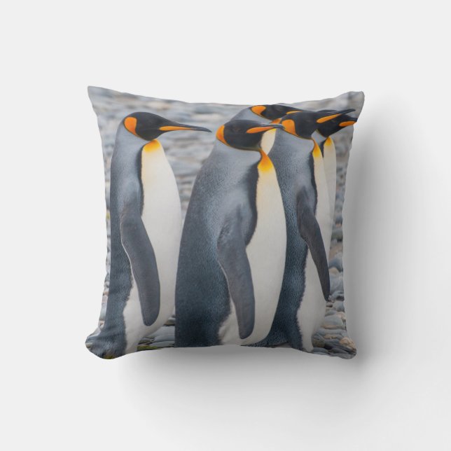 South Georgia. King penguins Throw Pillow (Front)
