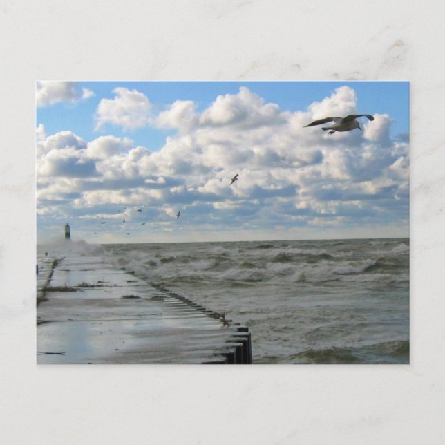 South Haven Pier Postcard (Front)