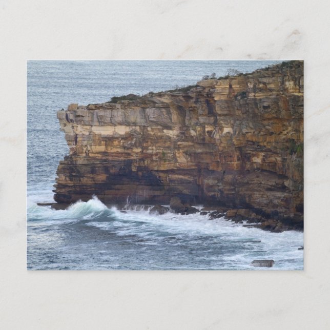 South Head Cliffs Postcard (Front)