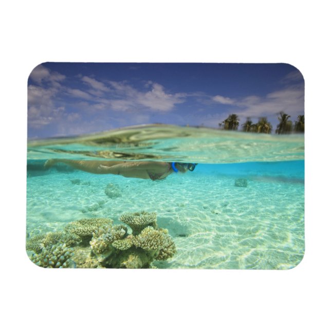 South Huvadhoo Atoll, Southern Maldives, Indian Magnet (Horizontal)