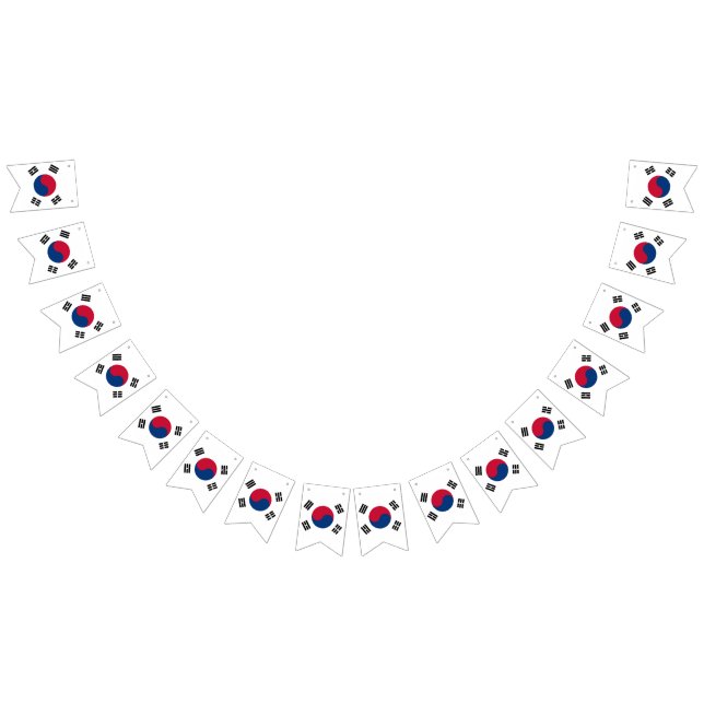 South Korea Flag (All)