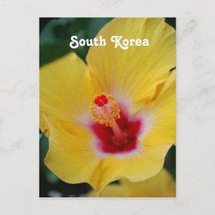 South Korean Hibiscus Postcard