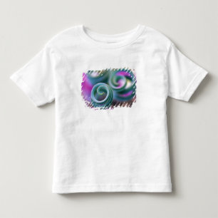 South Namaqualand, Curled lily leaves. Credit Toddler T-shirt