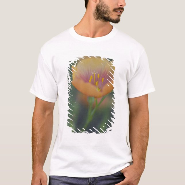 South of Devine Texas along Interstate 35 T-Shirt (Front)