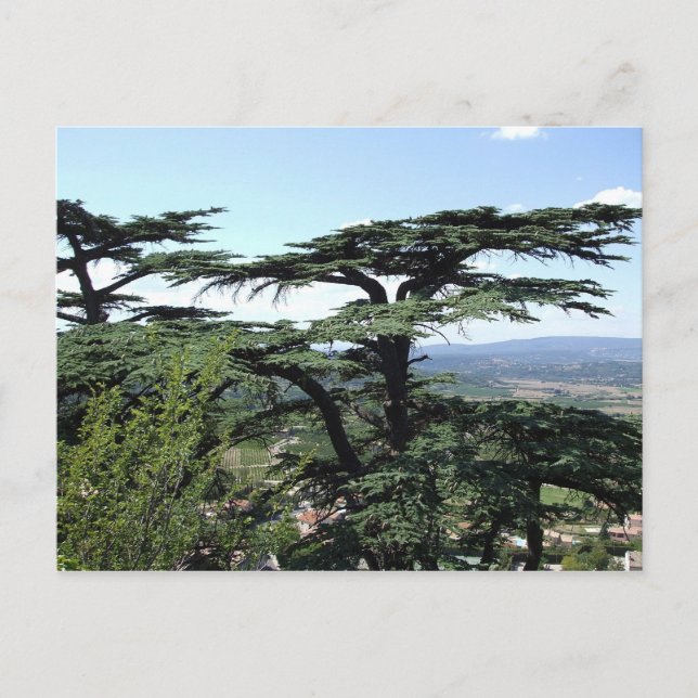 South of France Postcard (Front)