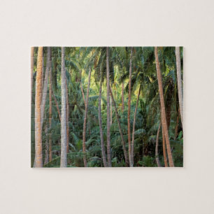 South Pacific, French Polynesia, Bora Bora. Jigsaw Puzzle