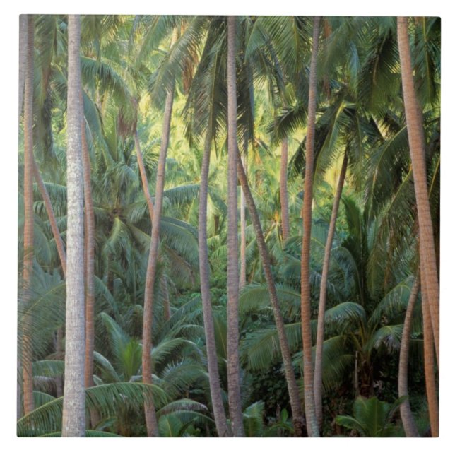 South Pacific, French Polynesia, Bora Bora. Tile (Front)