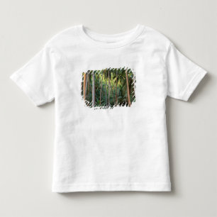 South Pacific, French Polynesia, Bora Bora. Toddler T-shirt