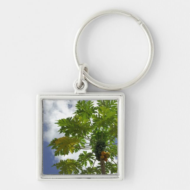 South Pacific, French Polynesia, Moorea. 2 Keychain (Front)