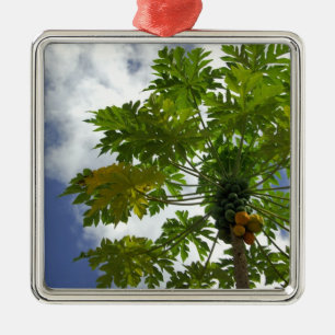 South Pacific, French Polynesia, Moorea. 2 Metal Ornament