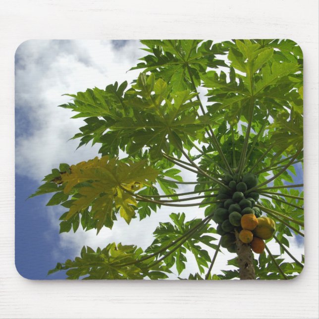 South Pacific, French Polynesia, Moorea. 2 Mouse Pad (Front)