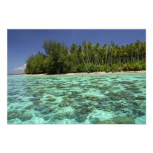 South Pacific, French Polynesia, Moorea 3 Photo Print