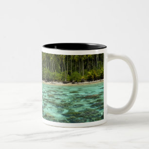 South Pacific, French Polynesia, Moorea 3 Two-Tone Coffee Mug