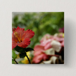 South Pacific, French Polynesia, Society 2 Inch Square Button