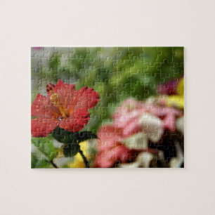 South Pacific, French Polynesia, Society 2 Jigsaw Puzzle