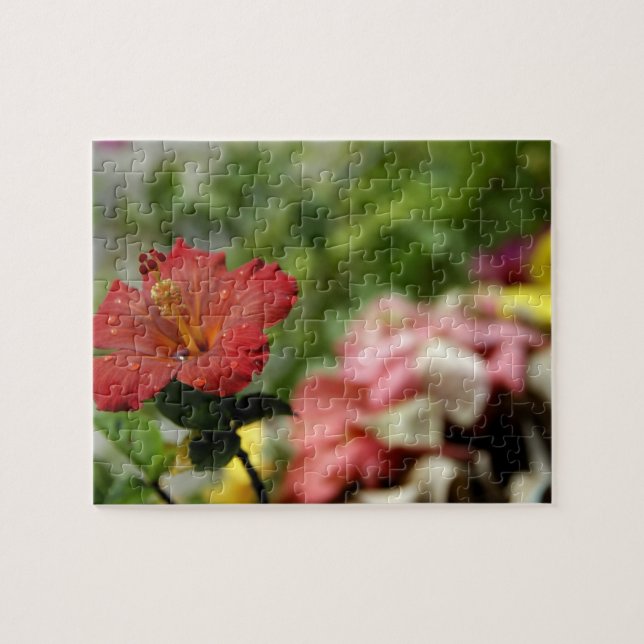 South Pacific, French Polynesia, Society 2 Jigsaw Puzzle (Horizontal)