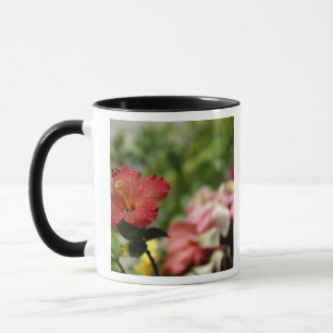 South Pacific, French Polynesia, Society 2 Mug