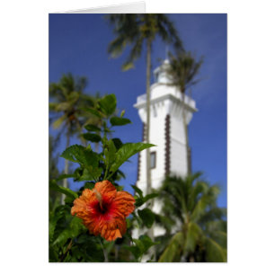 South Pacific, French Polynesia,Tahiti. Hibiscus