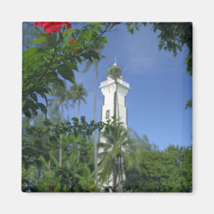 South Pacific, French Polynesia,Tahiti. Hibiscus 2 Magnet