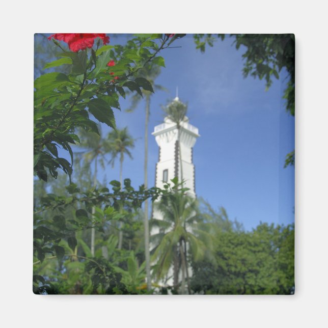 South Pacific, French Polynesia,Tahiti. Hibiscus 2 Magnet (Front)