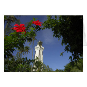 South Pacific, French Polynesia,Tahiti. Hibiscus 3