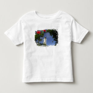 South Pacific, French Polynesia,Tahiti. Hibiscus 3 Toddler T-shirt