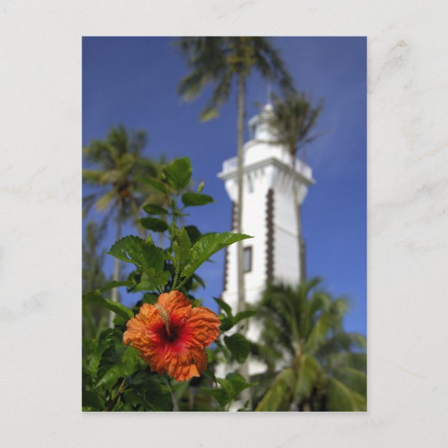 South Pacific, French Polynesia,Tahiti. Hibiscus Postcard (Front)