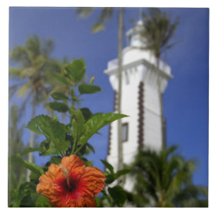 South Pacific, French Polynesia,Tahiti. Hibiscus Tile