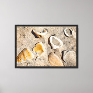 South Padre Island, Sand & Shells Canvas Print