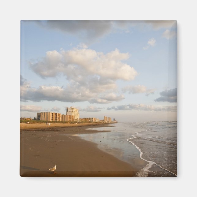 South Padre Island, Texas, USA resort hotels, Magnet (Front)