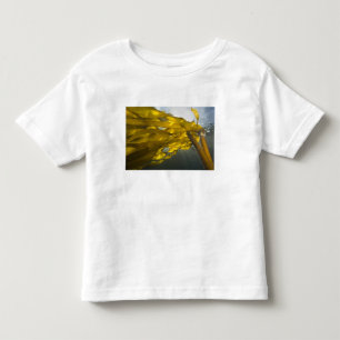 South side of Ewing Island, San Juan Islands, Toddler T-shirt