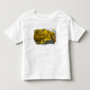 South side of Ewing Island, San Juan Islands, Toddler T-shirt