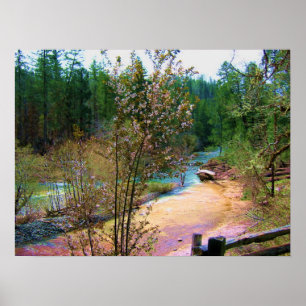 South Umpqua River Poster