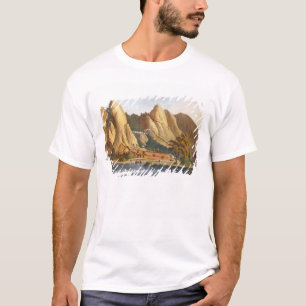 South view of Sewandroog, illustration from 'Twelv T-Shirt