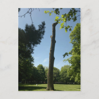 Southampton (Hoglands Park) Postcard