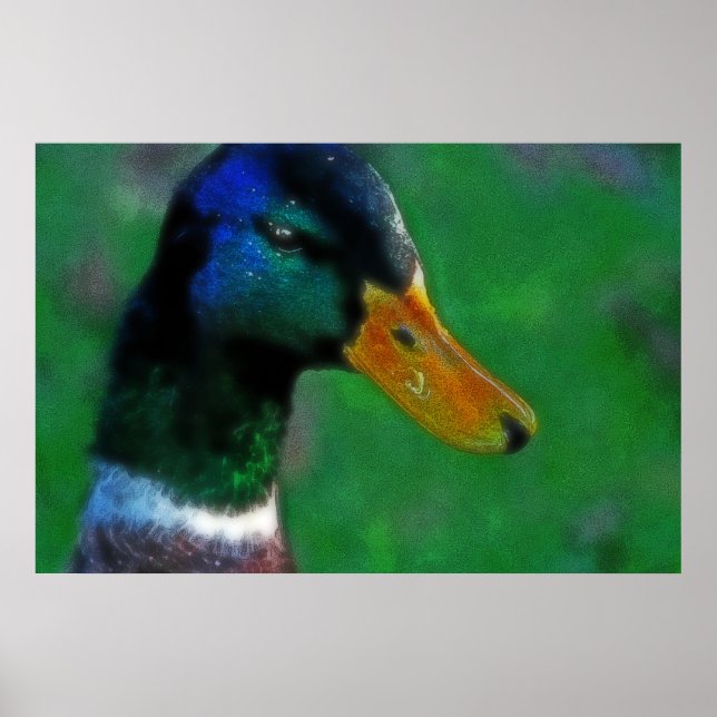 Southbound Mallard Print (Front)