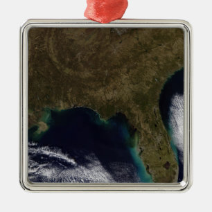 Southeastern United States Metal Ornament