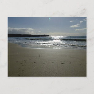 Southend Sparkle Postcard