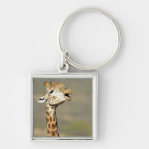 Southern African giraffe (Giraffa camelopardalis Keychain