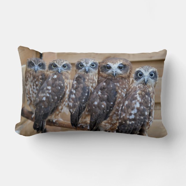Southern Boobook Cross Eyed Owls Lumbar Pillow (Front)