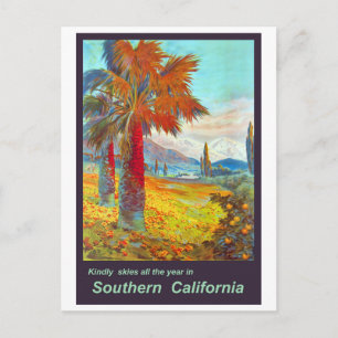 Southern California Palm Tree Postcard